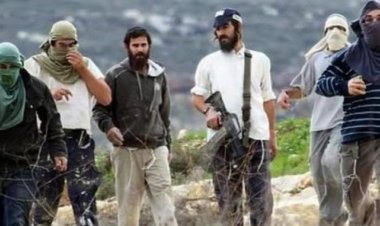Siyonist terör çeteleri Filistinlilere ait arazileri gasp etmeye devam ediyor