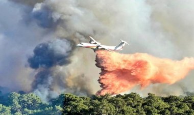 Fransa’da orman yangını: 1500 hektarlık alan kül oldu