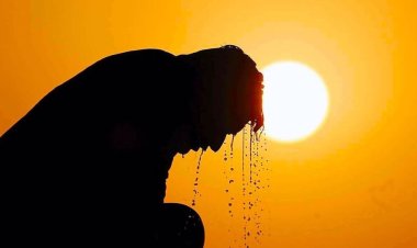 İspanya'da 'sıcak hava dalgası' nedeniyle hayatını kaybedenlerin sayısı yükseliyor