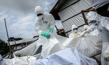 Tanzanya'da hayvanlardan bulaştığı değerlendirilen hastalık nedeniyle 3 kişi öldü