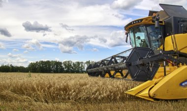 BM: İstanbul Tahıl Anlaşması, küresel açlığın önlenmesine yardımcı olacak