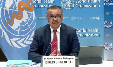 DSÖ, maymun çiçeği salgınını Uluslararası Halk Sağlığı Acil Durumu ilan etti