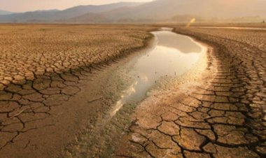 Dünyada bir çok bölgede kuraklık yaşanıyor: Su krizi kapıda