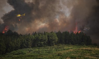 İspanya bu yüzyılın en büyük orman yangınlarıyla mücadele ediyor