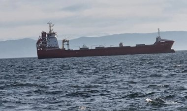 Ukrayna'dan tahıl sevkiyatı sürüyor: İki gemi daha bu sabah yola çıktı