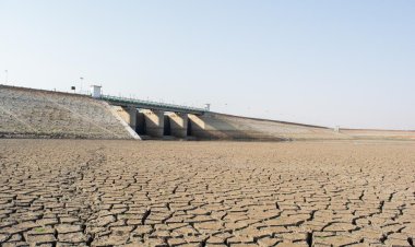 Avrupa'da kuraklık: 500 yılın en büyük kuraklığı olabilir