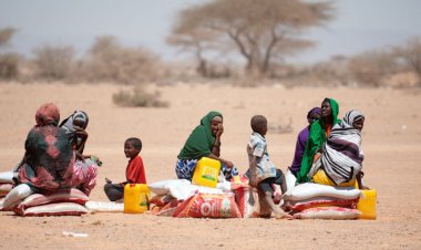 BM: Somali’de bir milyon kişi kuraklık yüzünden evini terk etti