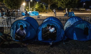 Hollanda'da hükümet mültecilere yer bulmakta zorlanıyor