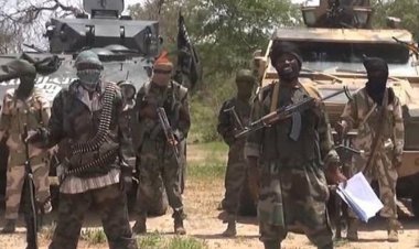 Nijerya'da Boko Haram'a ait bir kamp imha edildi