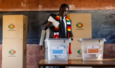 Zimbabve'de 2023 genel seçimleri için adaylık ücretleri 20 katına çıkarıldı