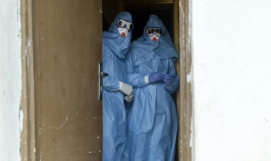 Nijerya'da Lassa ateşinden hayatını kaybedenlerin sayısı 170'e çıktı