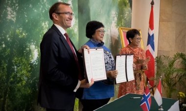 Norveç ile Endonezya yağmur ormanları için yeni anlaşma imzaladı
