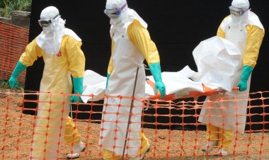 Ebola Uganda'da 5 bölgeye yayıldı 19 kişiyi öldürdü