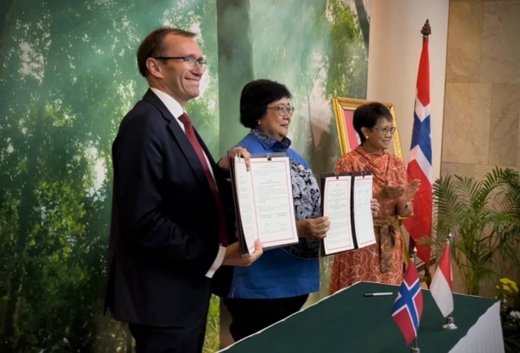 Norveç ile Endonezya yağmur ormanları için yeni anlaşma imzaladı