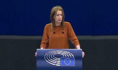 Avrupa Parlamentosu üyesi Daly'den İşgalci İsrail'e "Batı'nın buldog köpeği" benzetmesi