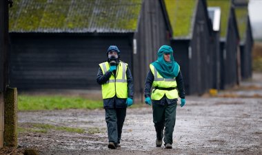 Artan kuş gribi vakaları nedeniyle İngiltere genelinde 'Önleme Bölgesi' ilan edildi