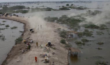 Pakistan’da selin etkisi: 10 milyon kişi tarımda yaşanan kayıplar nedeniyle yoksulluk sınırı altına düşecek