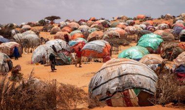 Somali'de kuraklık, 7,8 milyon kişiyi olumsuz etkiliyor
