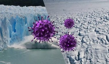 Araştırma: Buzullardaki donmuş virüsler, erime sonucu yeni bir pandemiye sebep olabilir