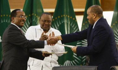 Etiyopya'da hükümet ile TPLF arasındaki barış için ilk adım atıldı