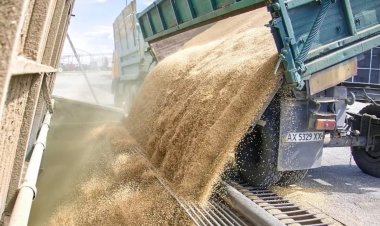 Rusya, Mali'ye 100 milyon dolarlık yakıt ve tahıl gönderiyor