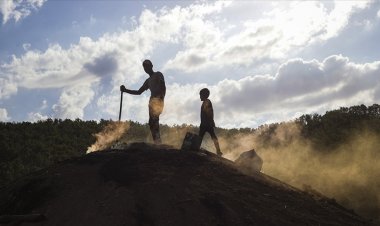Tedarik zincirinde çocuk işçiliğini en çok gelişmiş ülkeler kullanıyor