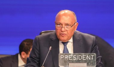 Mısır: BM İklim Zirvesi'nde kayıp ve zarar fonu oluşturulması "tarihi bir başarı"