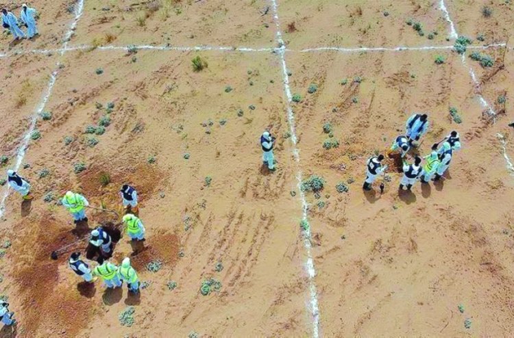 UCM yetkilileri Libya'nın Terhune kentindeki toplu mezarları ziyaret etti