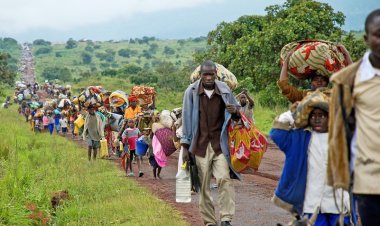 Dünyadaki göçmen nüfusu 280 milyonu geçti