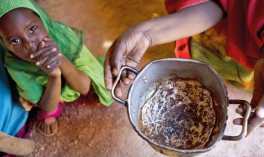 Kenya kuraklığın pençesinde: Milyonlarca kişi temel gıdaya muhtaç