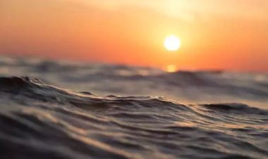 Okyanus sıcaklıkları 2022’de rekor seviyeye ulaştı