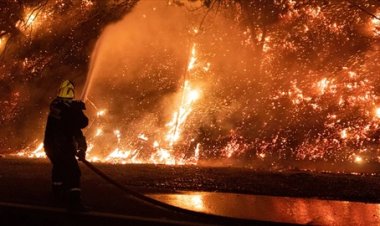 Fransa'da göçmen kampında yangın çıktı