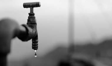 Kenya'da kuraklık milyonlarca kişiyi etkiliyor