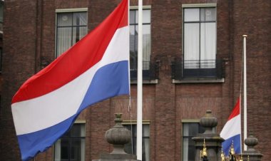 Hollanda'da eyalet seçimlerini kazanan Çiftçi Vatandaş Hareketi Partisi (BBB) ülke tarihine geçti