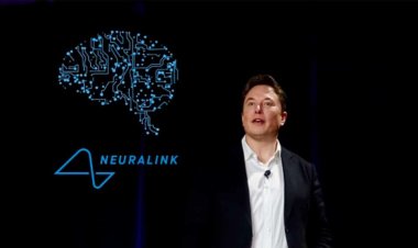 Musk'ın insan beyni deneyleri başvurusu FDA tarafından reddedildi