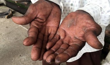 Ekvador'da Japon şirketine modern kölelik için dava açıldı