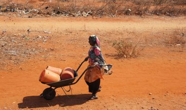 Etiyopya'da kuraklık: 2 milyon kişi için insani yardım çağrısı