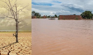 Doğu Afrika'nın güneyi sellerle, kuzeyi kuraklıkla mücadele ediyor