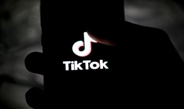Hollanda, kamuya ait telefonlarda TikTok'un kullanılmamasını istedi