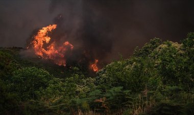 İspanya'daki orman yangını 5. gününde devam ediyor
