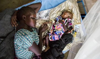 Nijerya'da menenjit salgını nedeniyle onlarca kişi hayatını kaybetti