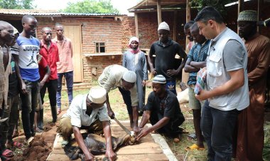 Avrupa Yetim Eli, kurban vekâletlerini Burundi'de kesti