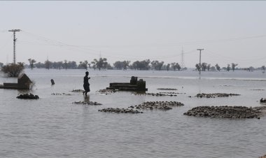 Pakistan'da şiddetli yağışların yol açtığı su baskınlarında 5 kişi öldü