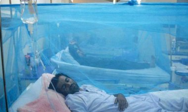 Peru'da dang humması vakası 73 bini aştı