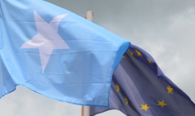 Somali'de iki AB yetkilisi sınır dışı edildi