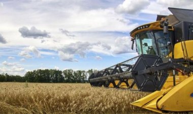 AB: Rusya'nın tahıl anlaşmasına dönmesi için Türkiye ve BM'yi desteklemeyi sürdüreceğiz