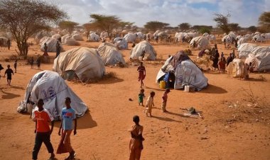 Somali'deki iç göç, alarm verecek seviyeye yükseldi
