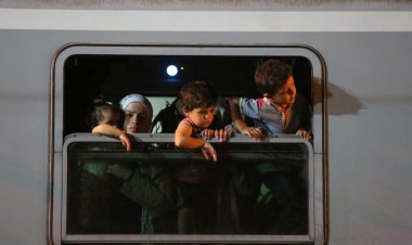 Hollanda'da 360 refakatsiz mülteci çocuk kayboldu