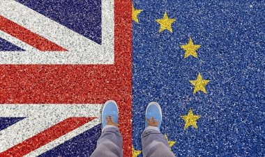 İngiltere'nin AB ile birlikteliğini sona erdiren Brexit'in üzerinden 7 yıl geçti