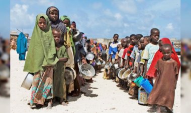 Etiyopya: Yardımların durdurulması yoksulluğu ve insani krizi büyütecek